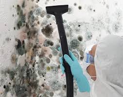 Best Residential Mold Inspection & Testing  in Americus, GA